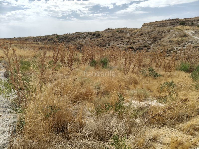 Foto f9912d97-27d2-43c2-b549-549c84289ecf. Xalet a Baza