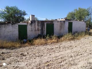 Xalet a Baza. Nave con olivos