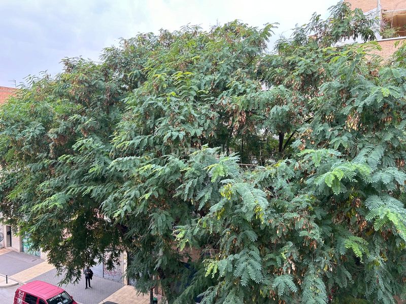 Foto 4f39878f-edb7-4695-a012-0112507c301f. Rent flat with heating in Santa Maria de Gracia Murcia