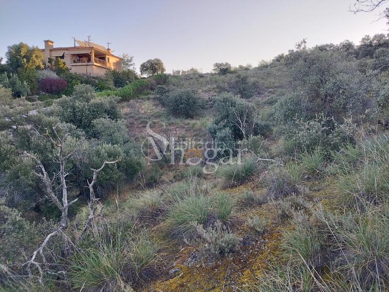 Foto a5369cfb-3ec1-452a-9bdb-2992b680ce90. Terreny residencial a Los Cigarrales-La Bastida Toledo