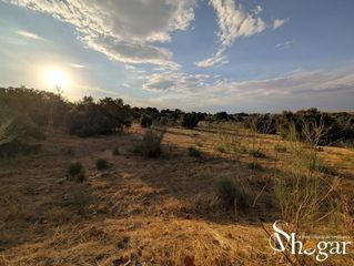 Terreny residencial  Calle u 340. Terrenos urbanos en montesión ultimos terrenos!