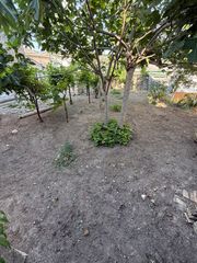Casa  Calle abad palomino