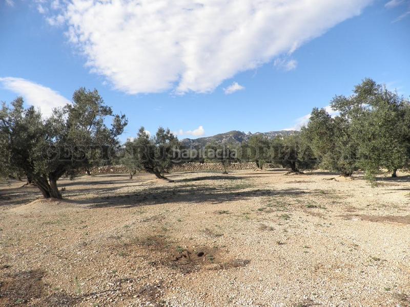 Foto 1fdefc96-e09f-4ab5-adf0-096424807889. Terrain résidentiel dans Mas de Barberans