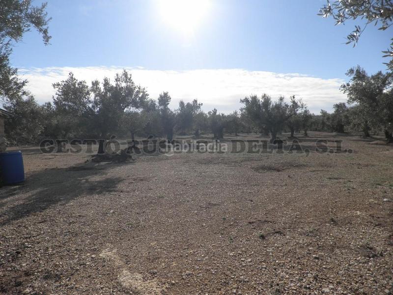 Foto 3c7deb3f-7594-414f-b7d7-08915cba8f0f. Terrain résidentiel dans Mas de Barberans