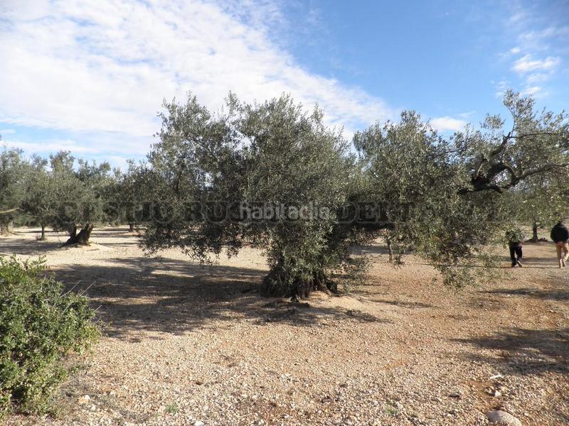 Foto f29ad51f-d64e-458a-87ac-34f755ff6a54. Terrain résidentiel dans Mas de Barberans