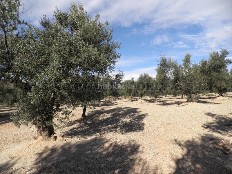 Foto ff772f86-0203-46d2-bbbf-af1eed8e0155. Terrain résidentiel dans Mas de Barberans