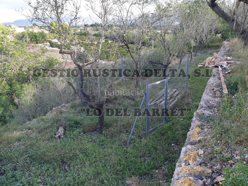Foto 780cb1e2-6019-4b8e-8ac8-d4396534371d. Casale con riscaldamento piscina in Jesús - Els Reguers Tortosa