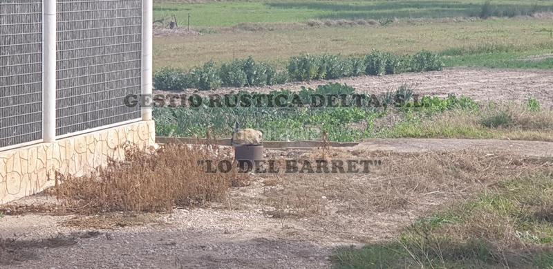 Foto ea894825-b34e-4e4b-a71a-fafc1317fd37. Landgut in Camarles