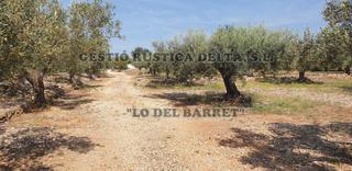 Finca rústica  Polígono 1. Rústica de olivos de 4.696m2 con posiblidad de hacer caseta de a