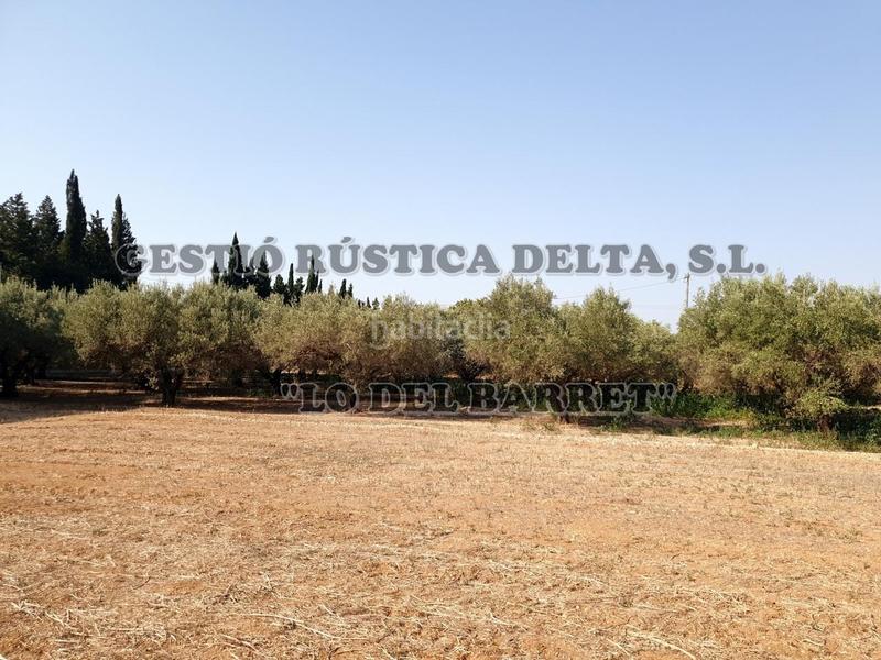 Foto 3723851f-024f-4219-b0e2-6d8981db6cb6. Masía excelente masía de 385m2 construidos en diferentes estancias con 7.699m2 de terreno. en Camarles