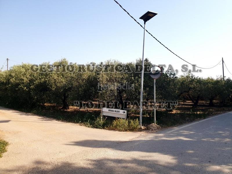Foto fa6183f4-aac0-41e6-8348-cade29e78c32. Masía excelente masía de 385m2 construidos en diferentes estancias con 7.699m2 de terreno. en Camarles