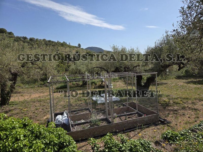 Foto 16efbde0-96bc-464c-8adc-247ffcf39980. Masia a Bítem Tortosa