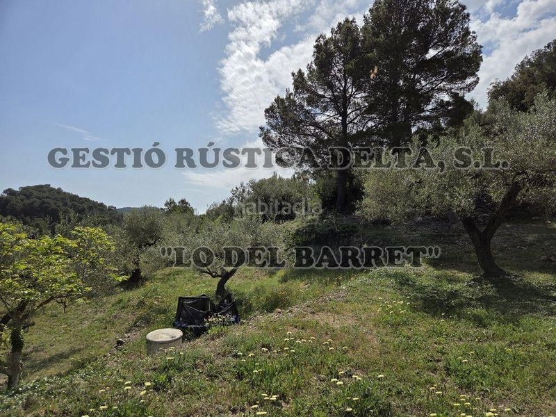 Foto 5bd830c9-8766-429c-bdd8-906cdd4b131b. Masia a Bítem Tortosa