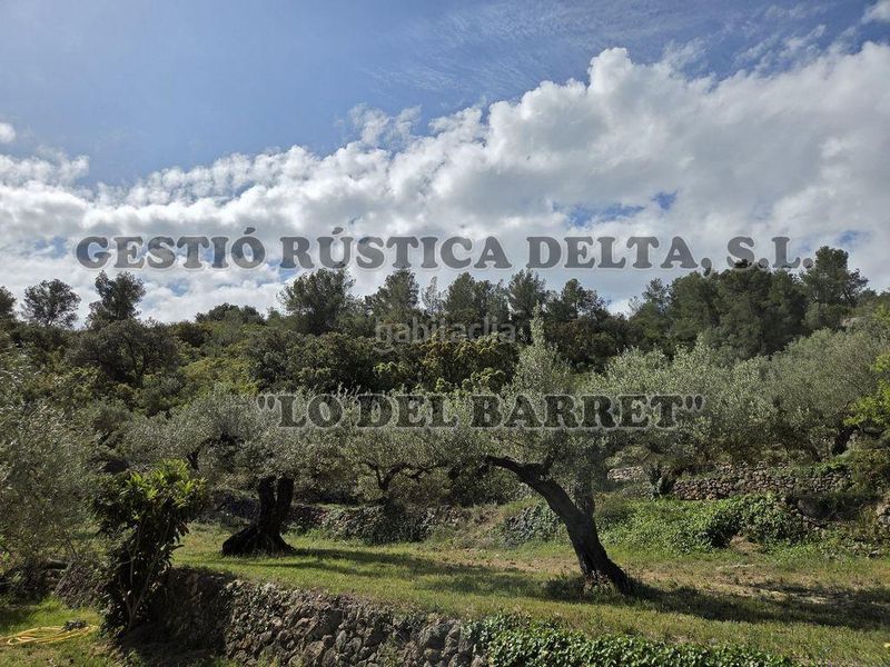 Foto 966754c2-bd2c-4385-a372-bc51306e156e. Masia a Bítem Tortosa
