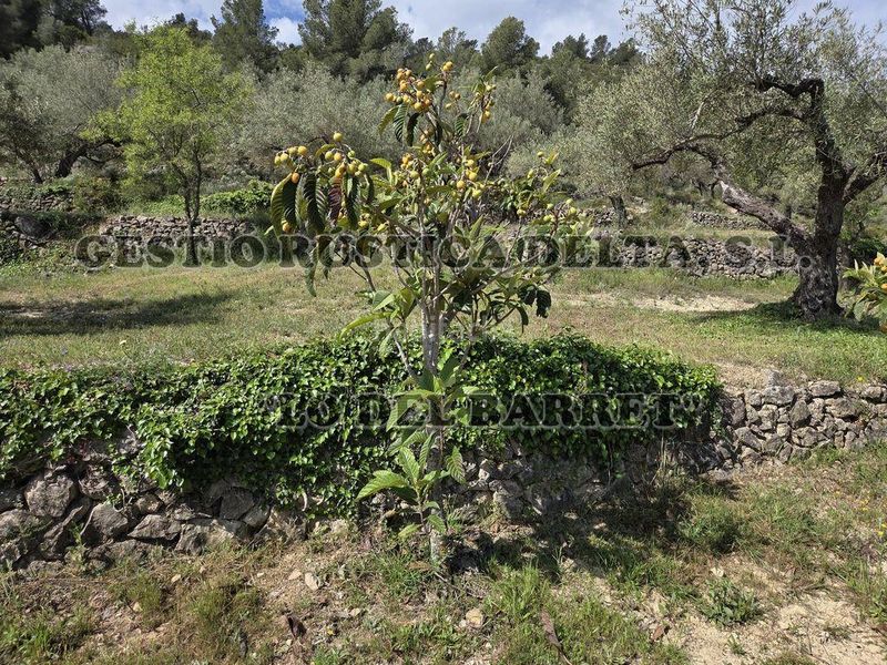 Foto 98cbc837-39be-4157-9f9b-7f0dece9d490. Masia a Bítem Tortosa