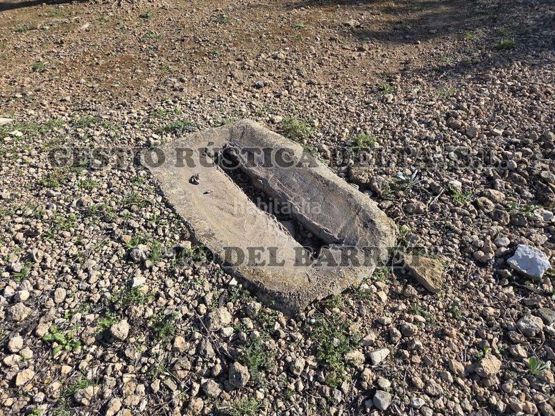 Foto 035e0f89-7b51-4223-a4f9-f35330c9d503. Masia a Ampolla (L´)