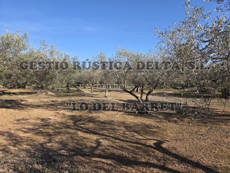 Foto 48f5c53f-0813-40d0-bc19-f0e3372d50b7. Masia a Ampolla (L´)