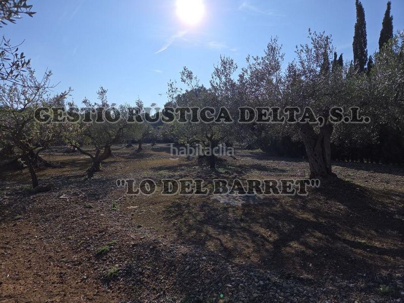 Foto 525313bc-a86f-4374-addf-216a634c8ff1. Masia a Ampolla (L´)