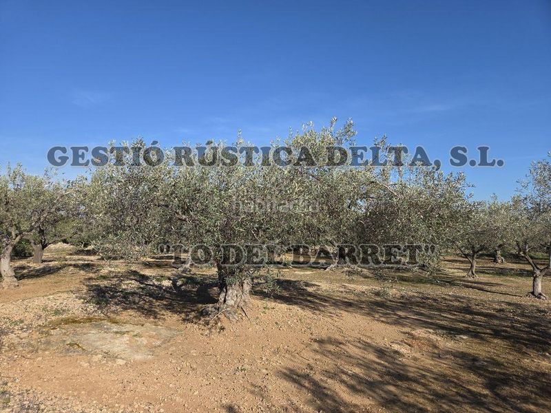Foto 9f536166-500f-4915-8b81-e47acce5f21c. Masia a Ampolla (L´)