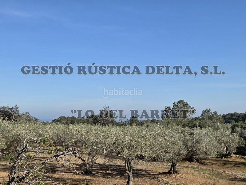 Foto a459435d-1a70-4eb1-94e3-69a1a7880b1d. Masia a Ampolla (L´)