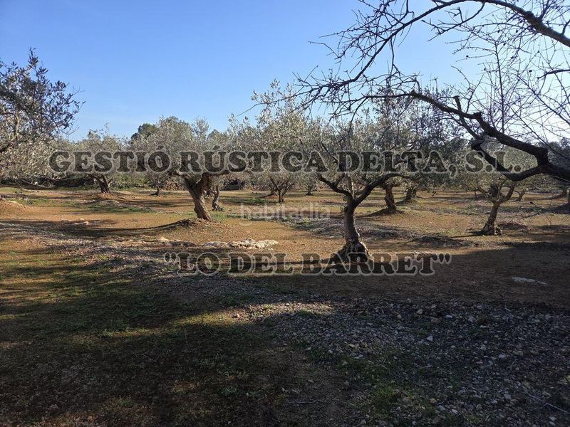Foto ce9cb99f-d3dd-4ea1-ae7a-4134f0e70f5a. Masia a Ampolla (L´)