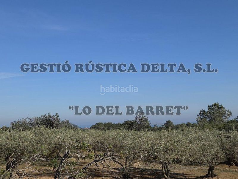 Foto dee6f821-1de0-4228-875f-775efbd4e45b. Masia a Ampolla (L´)