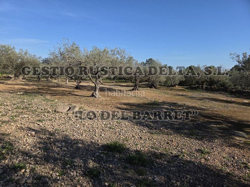 Foto ecca72e8-975e-4e34-96ec-50079cd36808. Masia a Ampolla (L´)