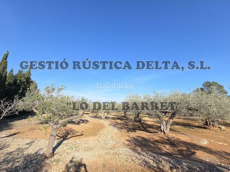 Foto ed5b9e3f-674f-46b0-a249-a9c7177d67ef. Masia a Ampolla (L´)