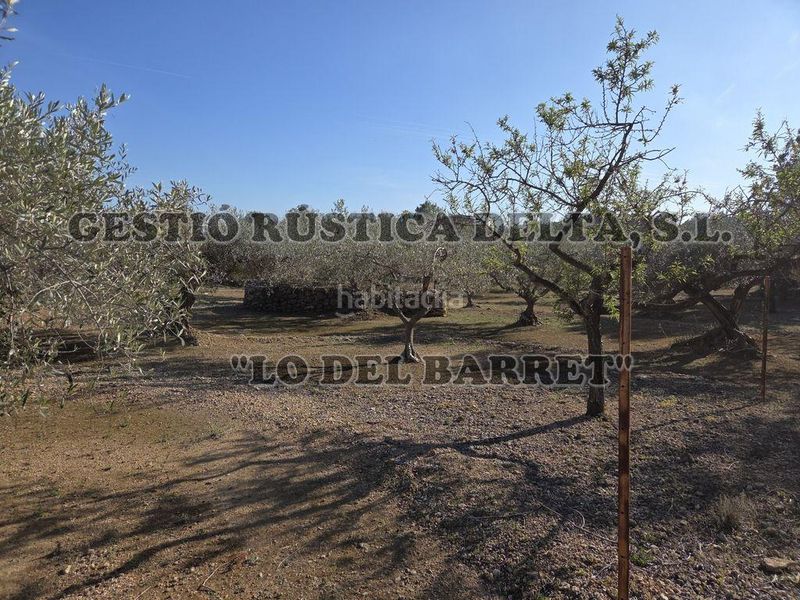 Foto fb7d1977-4ee0-4879-8af6-17e9bc6bf692. Masia a Ampolla (L´)
