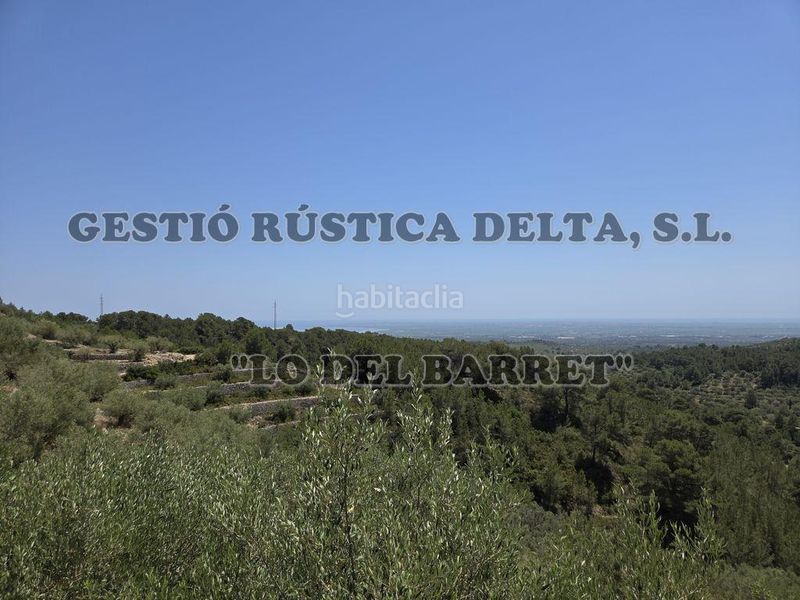 Foto 25bc2ab4-7ecd-4b2b-9e4e-dde21ac0873d. Masia amb aparcament a Bítem Tortosa