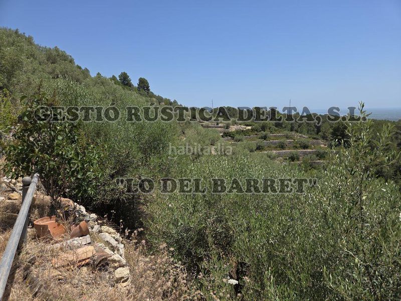 Foto 9e6dfa00-e684-4862-84f9-939ac72f8411. Masia amb aparcament a Bítem Tortosa