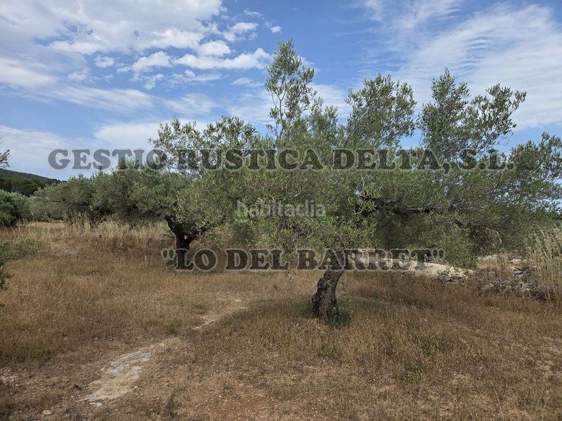Foto 130868de-5436-4d31-b606-e5d64a884470. Masia amb aparcament a Perelló (El)