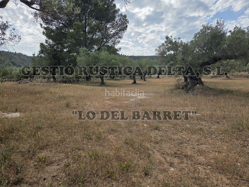 Foto 32626795-fc49-497a-b1ce-5c2d12e74d51. Masia amb aparcament a Perelló (El)
