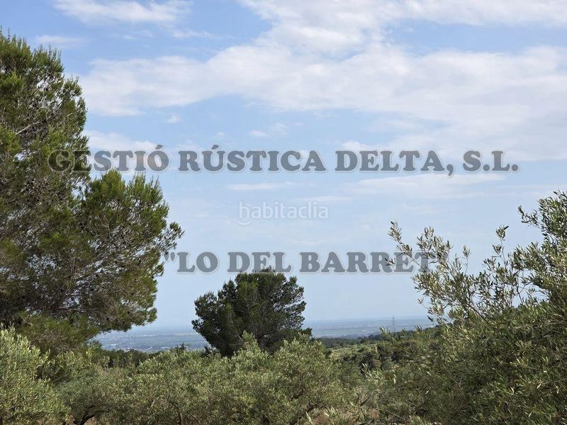 Foto 33fe30ac-e353-457e-beff-9154eb3c4e57. Masia amb aparcament a Perelló (El)