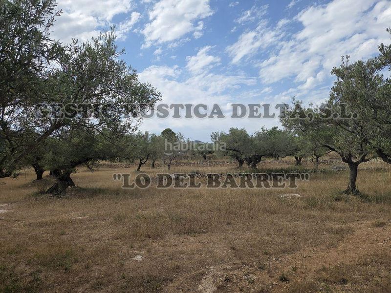 Foto 46a3826d-669b-45f6-861f-39fedd416d2f. Masia amb aparcament a Perelló (El)