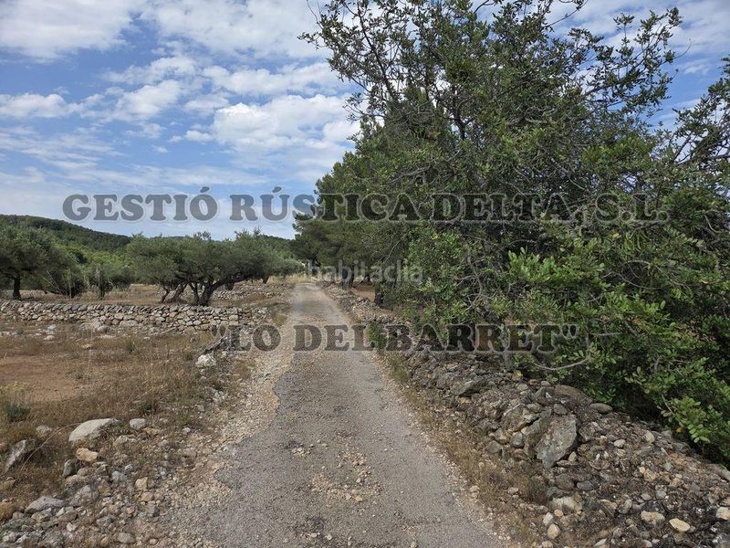 Foto 4d68ba48-5b89-4f72-8d9f-b195c41c5db9. Masia amb aparcament a Perelló (El)
