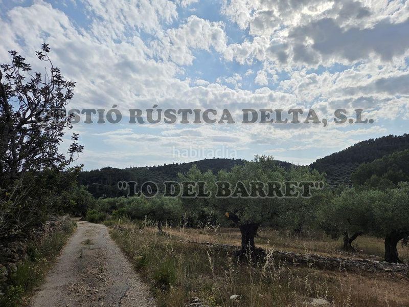 Foto 63a5bbe1-8cc4-4e99-8733-896e6b364903. Masia amb aparcament a Perelló (El)