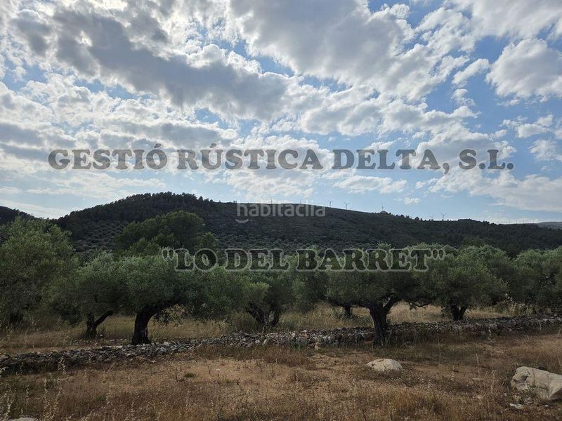 Foto 65108eaa-be78-447e-b68d-c5df9528c315. Masia amb aparcament a Perelló (El)
