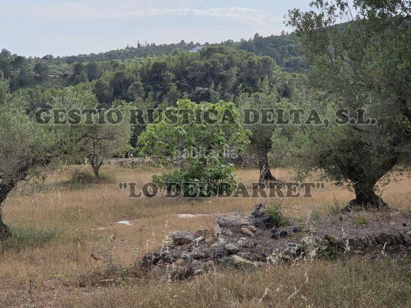 Foto 850115b5-8ee8-4c39-9e20-7451ed1a7a84. Masia amb aparcament a Perelló (El)
