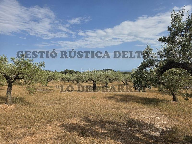 Foto 86738f0e-823d-4587-9a0e-99b5abe3df71. Masia amb aparcament a Perelló (El)