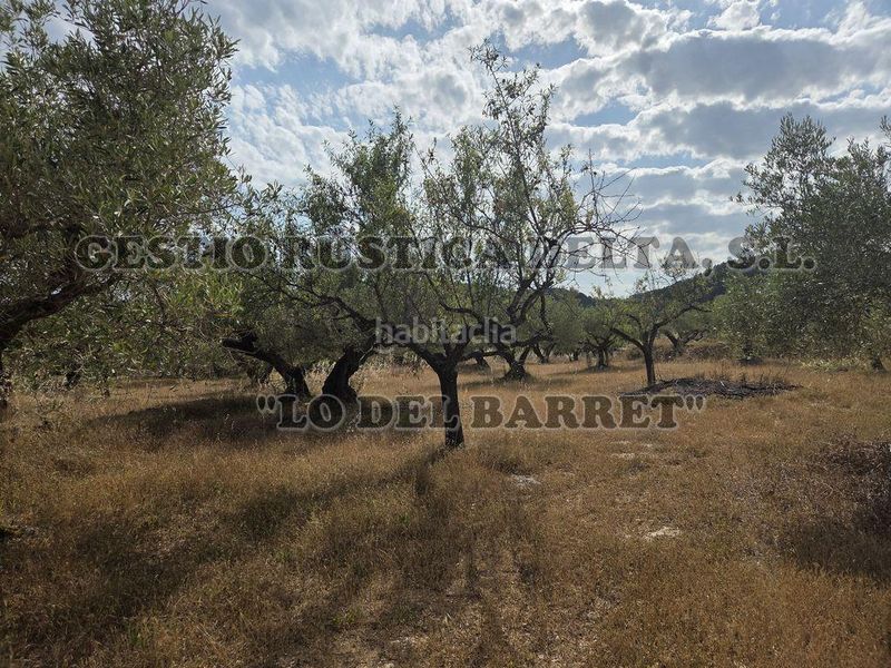 Foto 8a348872-b04e-45f8-9212-72d5544532f1. Masia amb aparcament a Perelló (El)