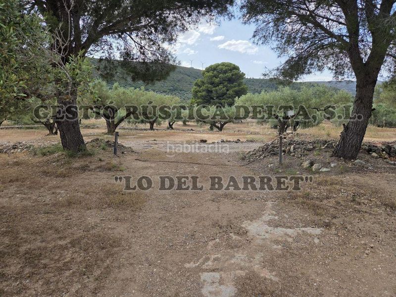 Foto 8d6a94e0-0c8d-4c1c-88ef-c41147b90dea. Masia amb aparcament a Perelló (El)