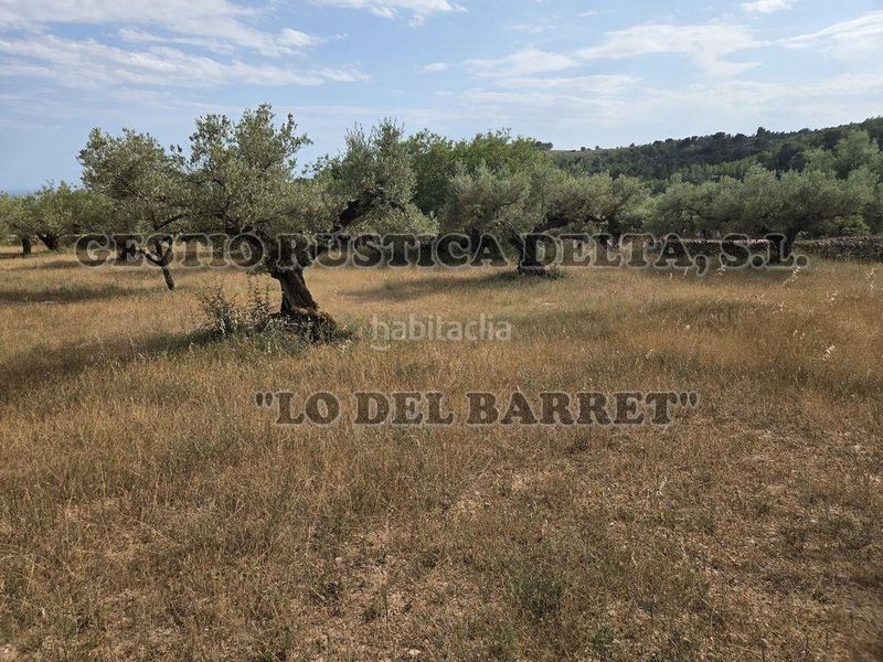 Foto 9a91c725-6fea-425f-949a-1dbc134d00f1. Masia amb aparcament a Perelló (El)