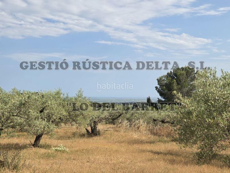 Foto a31cdb7a-3f34-4ea0-9699-0d3b5d1596ac. Masia amb aparcament a Perelló (El)