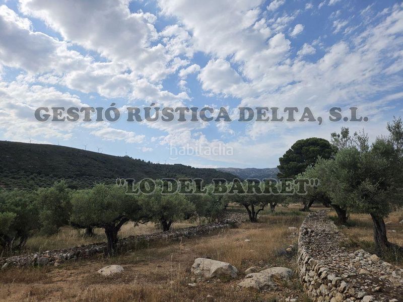 Foto b1b42e65-1a5e-483c-9904-53cbcf538e0d. Masia amb aparcament a Perelló (El)