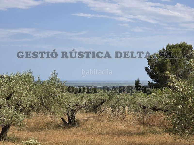 Foto ca84522e-dc3a-46c3-bae0-40f3d370b536. Masia amb aparcament a Perelló (El)