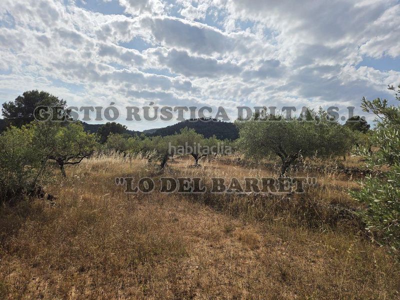 Foto cd7127ca-2f4f-41b3-a8b0-e11996979eea. Masia amb aparcament a Perelló (El)