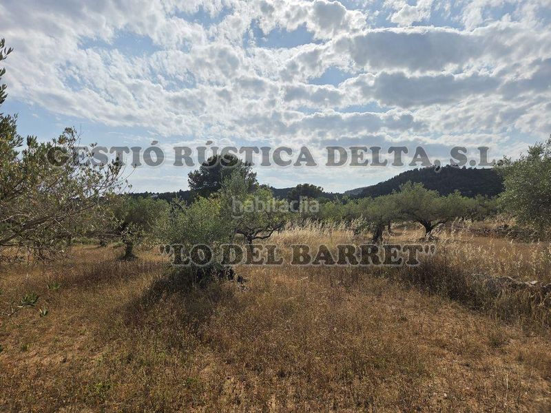 Foto d72eef10-23d3-42af-9b58-9e8be30ab4b3. Masia amb aparcament a Perelló (El)