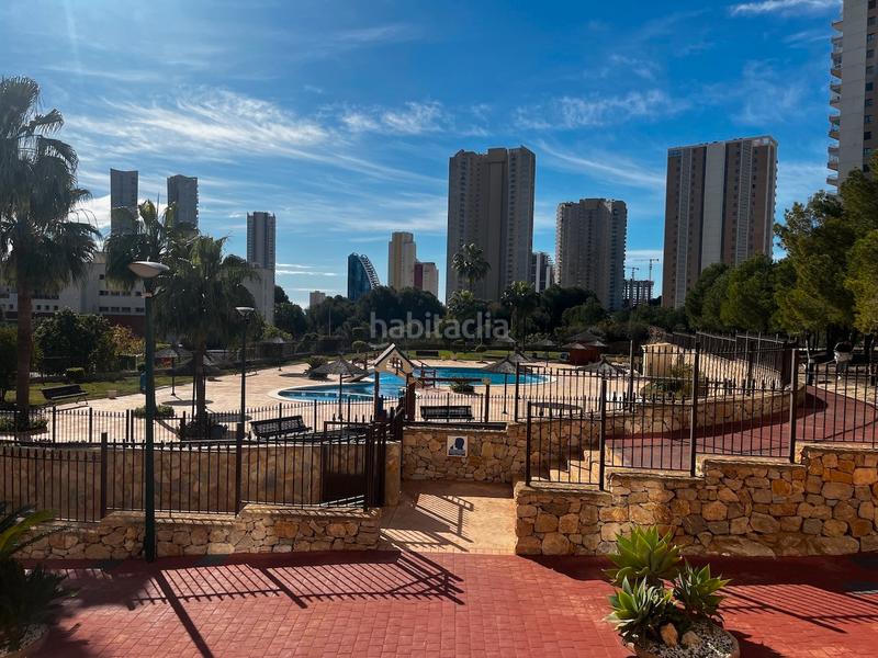 Foto 73f22f3b-2e33-4858-8246-5a6d82ea53fc. Lloguer apartament amb calefacció aparcament piscina a Benidorm