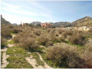 Terreny residencial  Partida almoraig. Oportunidad - terreno en xixona